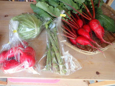 5月より、朝採れ「新鮮野菜お届け便」始動します。